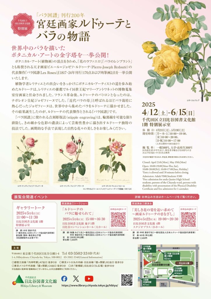 宮廷画家 ルドゥーテとバラの物語